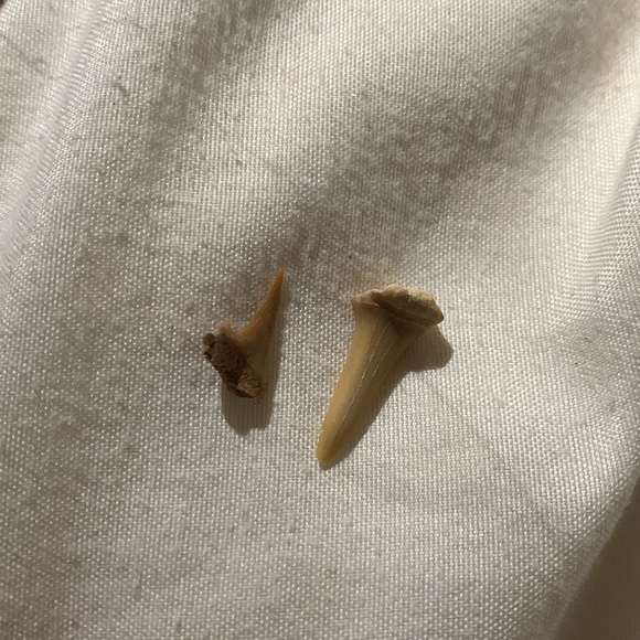 A whole bag of about 60 rocks. - Picture 12 of 15